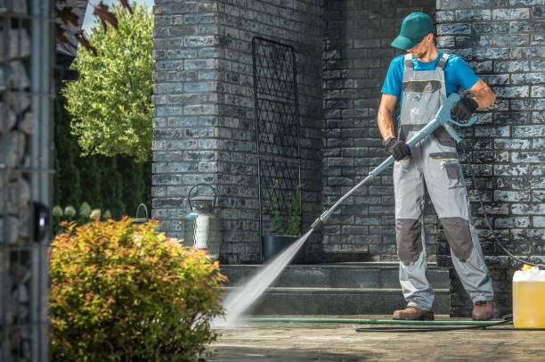 Animal Enclosure Cleaning in Peekskill, NY